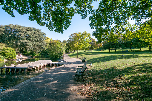 This public park was the brainchild of Thomas Attree, a property developer who in 1825 bought the land, known as Brighton Park, to construct a park inspired by Regent's Park in London.