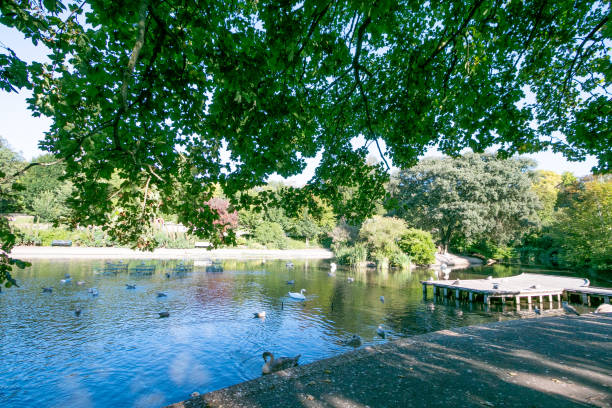 istock Queen's Park in Brighton, England 1292571938