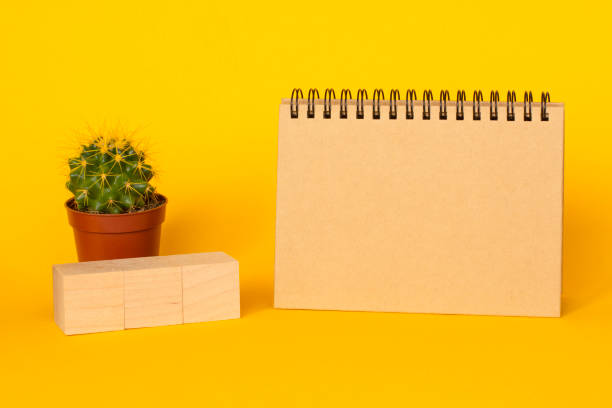 istock cactus and craft diary with copy space on a yellow background 1292575415
