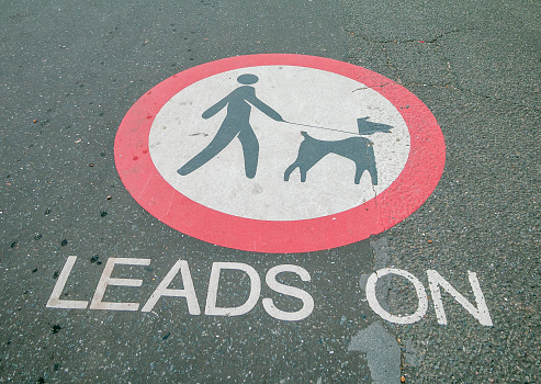 Close-up of a dog parking sign, outdoors. Place to tie up dog waiting for owners outside stores and restaurants that do not allow pets. White-colored sign with black dog silhouette, steel column with ring for attaching leash.