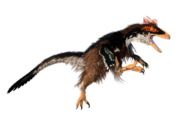 istock 3D illustration dinosaur Deinonychus on white 1292576288