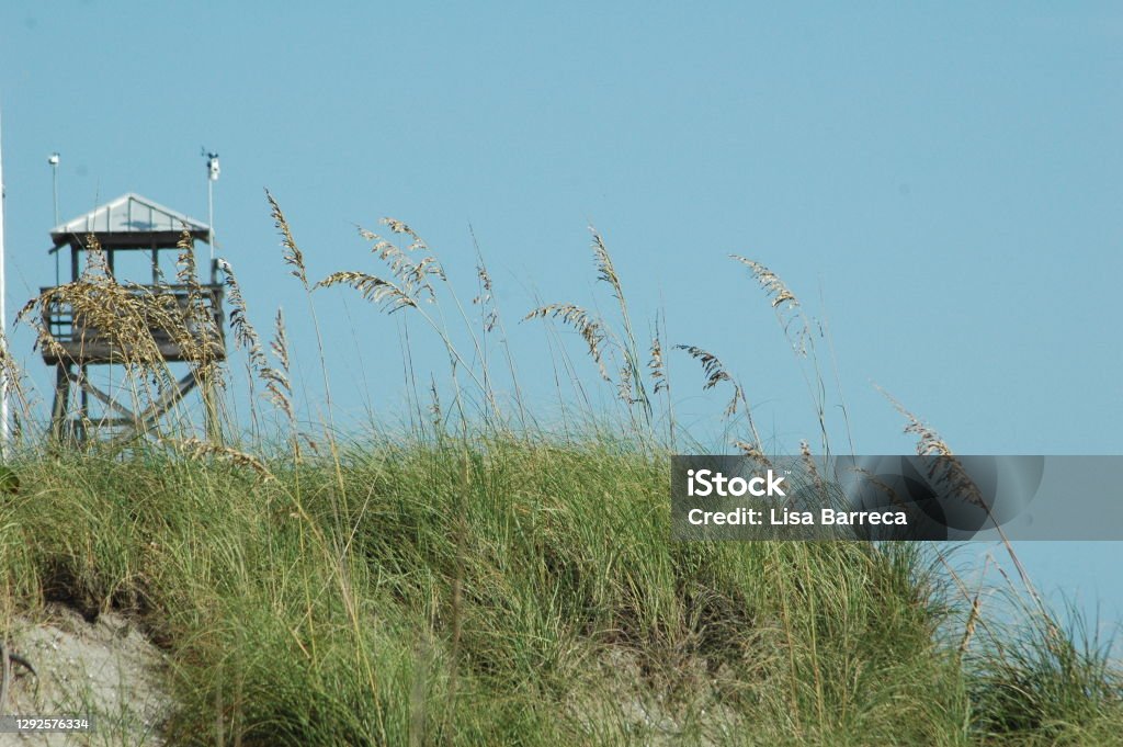 From Afar Landscape on the Beach in Stuart, FL Atlantic Ocean Stock Photo