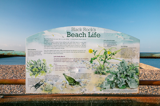 Black Rock Beach in Brighton, England, with detailed descriptions and illustrations of the shore front life