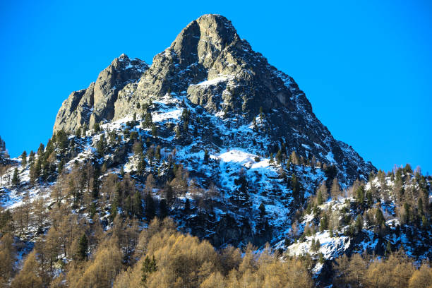 istock winter in the French Alps 1292578067
