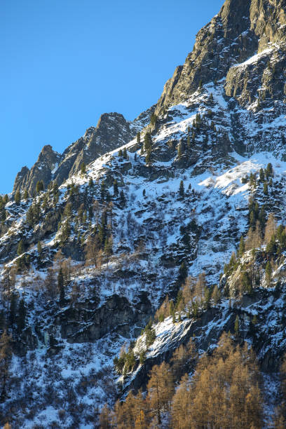 istock winter in the French Alps 1292578676