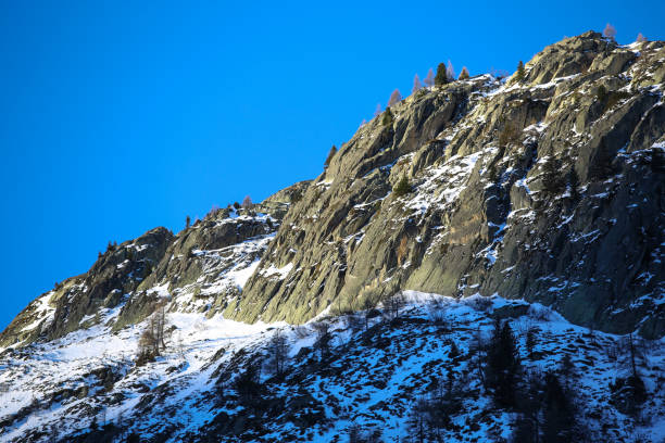 istock winter in the French Alps 1292579926