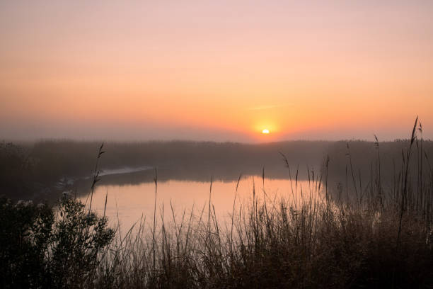 istock Bombay Hook National Wildlife Refuge at Sunrise 1292580190