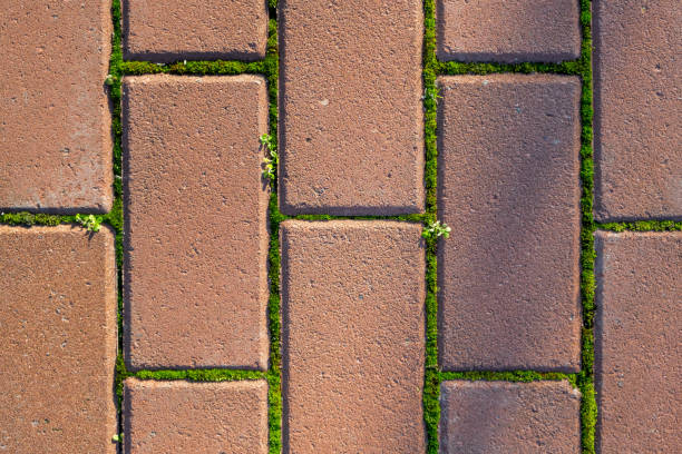 istock Red brick wall with green moss texture background. 1292581980