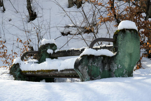 istock winter in the French Alps 1292584330