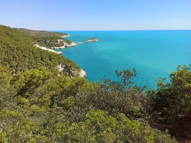 Panoramic view of the sea of Gargano, summer in Puglia south of Italy Gargano National Park, Italy, Europe