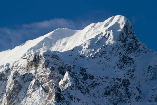 istock winter in the French Alps 1292589574