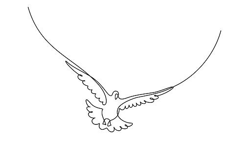 Flying bird in continuous line art drawing style. Pigeon flight minimalist black linear sketch isolated on white background. Vector illustration