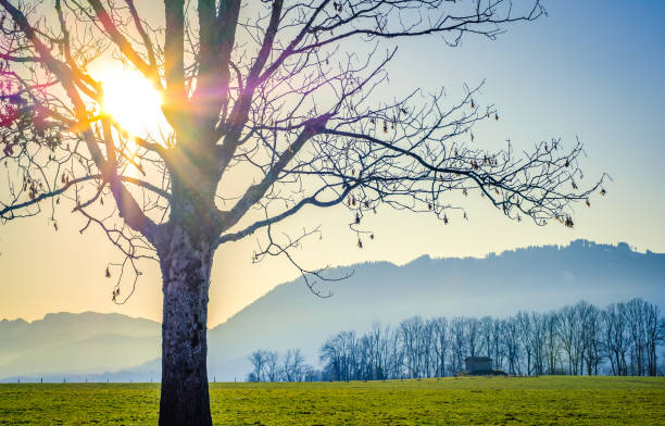 landscape near Bad Toelz in Germany - bavaria