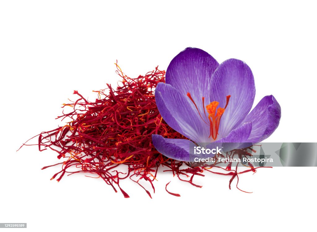 Stigmas of saffron isolated on white background Stigmas of saffron flower isolated on white background Saffron Stock Photo
