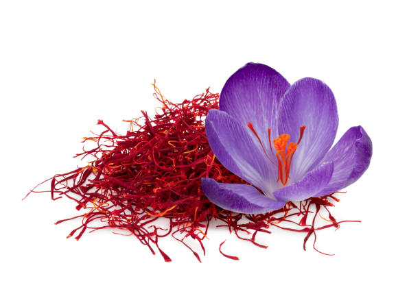 Stigmas of saffron isolated on white background Stigmas of saffron flower isolated on white background saffron plant stock pictures, royalty-free photos & images