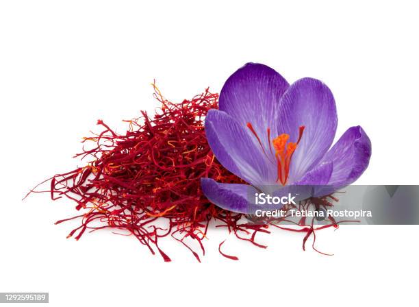 Stigmas Of Saffron Isolated On White Background Stock Photo - Download Image Now - Saffron, Crocus, Flower