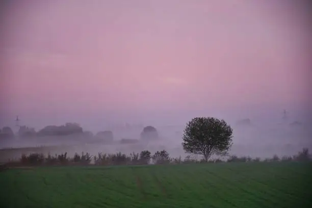 Photo of foggy morning in netherlands. Morning dew and mist rise over the fields shortly after sunrise. Landscape in autumn.  Electricity pylons in the background