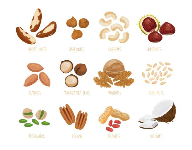 Print Set of nuts - brazil nuts, hazelnuts, cashews,  chestnuts, almonds, macadamia, walnuts, pine cedar nuts, pistachios, pecans, peanuts, coconut. Isolated set of vector icons nuts in a flat cartoon style pine nut stock illustrations