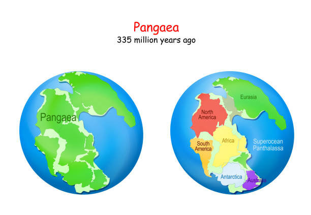 ilustrações, clipart, desenhos animados e ícones de mapas pangeias com fronteiras continentais modernas, e panthalassa superocean. - pangaea map earth triassic