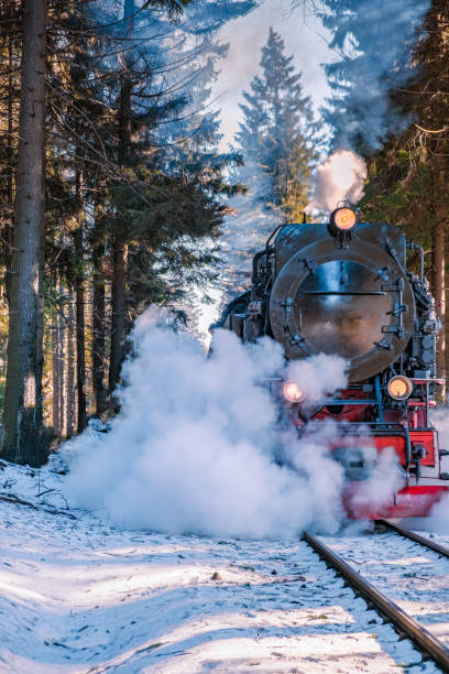 harz nationalpark deutschland, dampfzug auf dem weg nach brocken durch die winterlandschaft, berühmte dampfbahn durch den winterberg. brocken, harznationalpark gebirge in deutschland - berg brocken stock-fotos und bilder