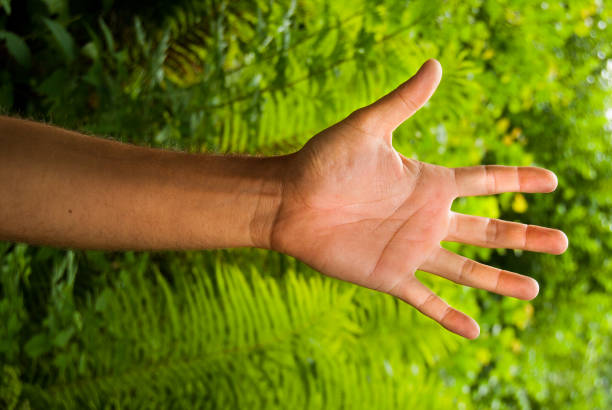 istock Open hand with green plants as a background 1292603517