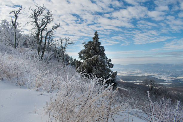 Shenandoah National Park in Winter - snow and ice storm