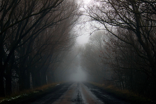 Mystical autumn road. An old asphalt road covered with cracks and patches in the mud with tire marks from cars during heavy fog.