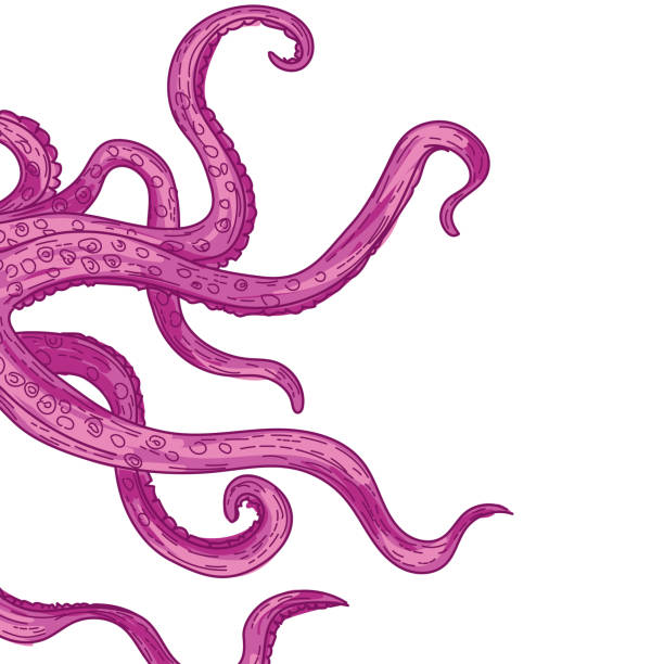 Octopus Tentacles Colourful tentacles of octopus. Drawn in flat colors for easier editing. File is CMYK color space. tentacle stock illustrations