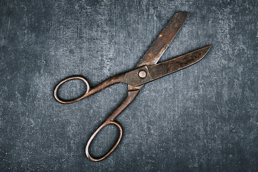 Open old tailor shears on gray background, close up