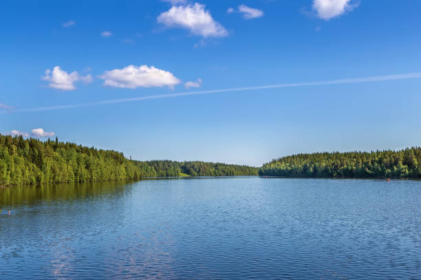 istock Landscape on the river Vyg, Russia 1292608352