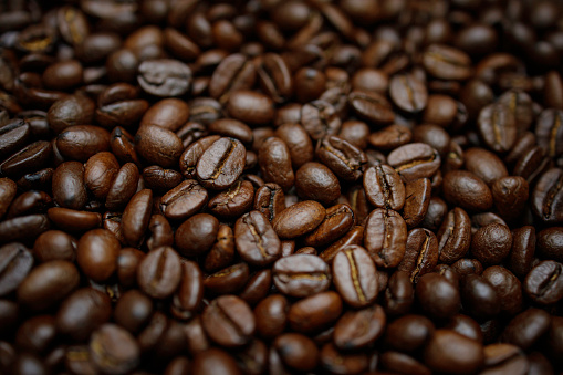 Fresh roasted brown coffee beans on white background