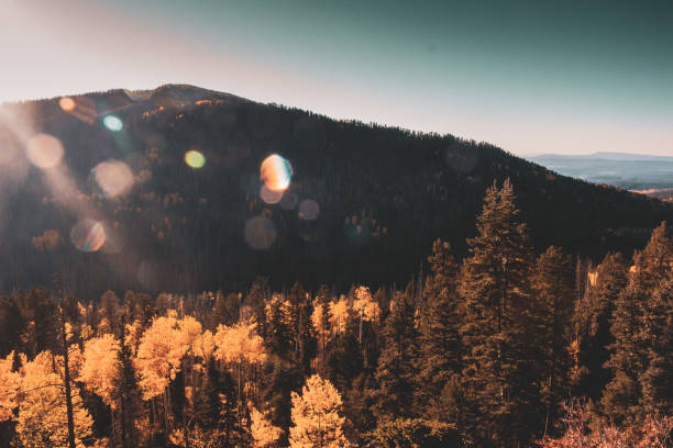 As the sunrise lifts over Anderson Trail in Pagosa Springs, CO. the fall colors pop creating a warm glow.