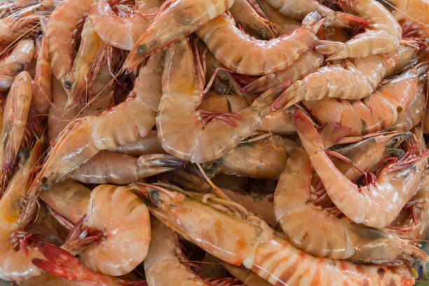 istock Fresh prawns. Showcase on the market. 1292613873