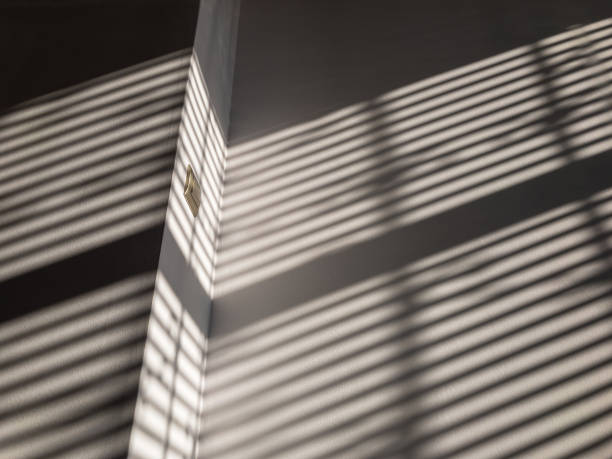 istock Shadows on wall. Abstract light, black shadow overlay from window on white texture wall. Sunlight architecture background. For product presentation, backdrop and mockup, summer seasonal concept. 1292614988
