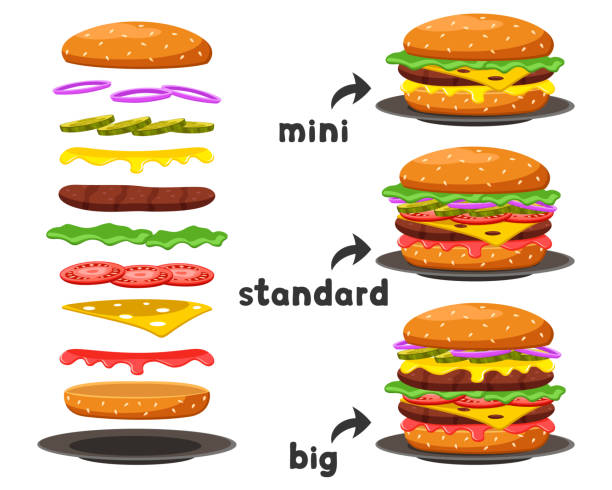 ilustrações de stock, clip art, desenhos animados e ícones de set of burgers of different sizes and their components on a white background. - burger hamburger large food