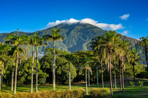 View of Avila mountain at morning from Parque del Este. Caracas, Venezuela stock photo