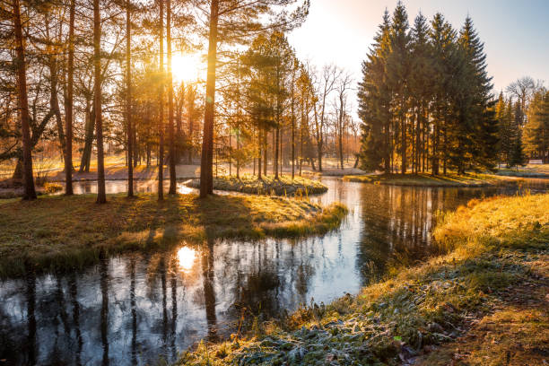 istock Late autumn in the park 1292619619