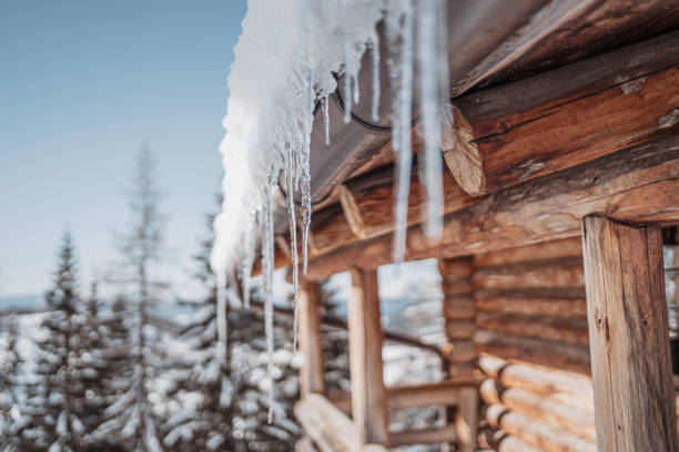 istock Snow-laden trees in the dolomites 1292620774