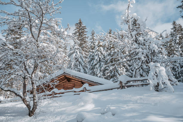 istock Snow-laden trees in the dolomites 1292620895