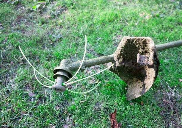 istock Lawn mower on green grass 1292622381