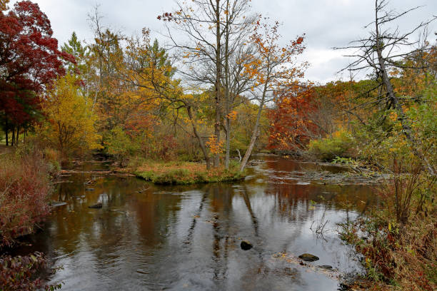 istock Creek and trees in autumn colors 1292623396