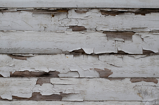 A wall of planks. Tree structure. Old, peeling paint.