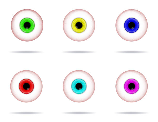 istock Set of spooky eyes vector illustration. Halloween scary eyeball collection isolated on white background. Decorations for horror parties. Detailed eyeball in eight colors. Vector Realistic Illustration 1292624233