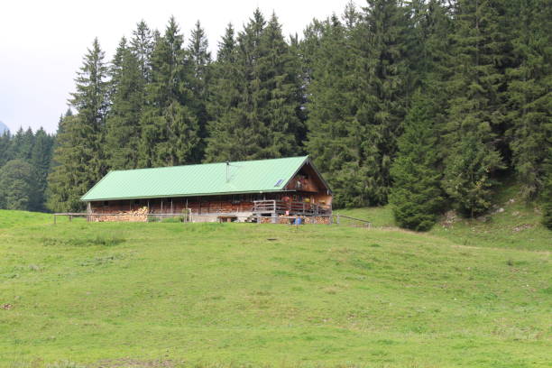 drewniana chata w alpach tegernseer w pobliżu bad wiessee - lake tegernsee zdjęcia i obrazy z banku zdjęć
