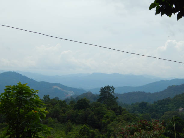 istock Green hills and forests 1292624818
