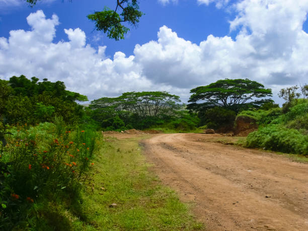 istock Streets in settlements of Easter Island. 1292630119