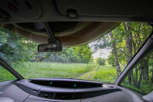 istock View of forest road through car glass. 1292632322