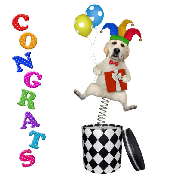 istock Dog comic jumping out of box 1292635171