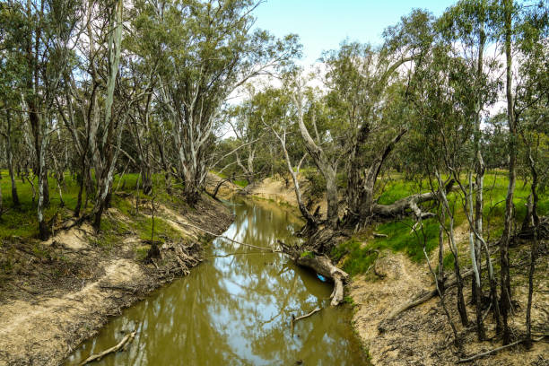 istock Deniliquin, New South Wales, Australia 1292636448