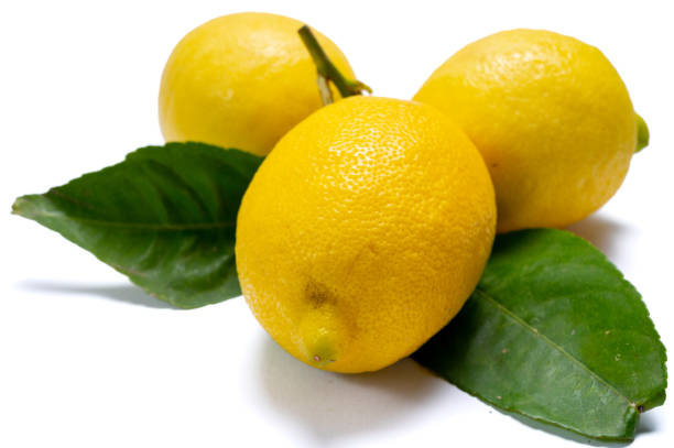 잎이 있는 신선한 잘 익은 노란 이탈리아 레몬, 새로운 수확 - neapolitan specialty 뉴스 사진 이미지